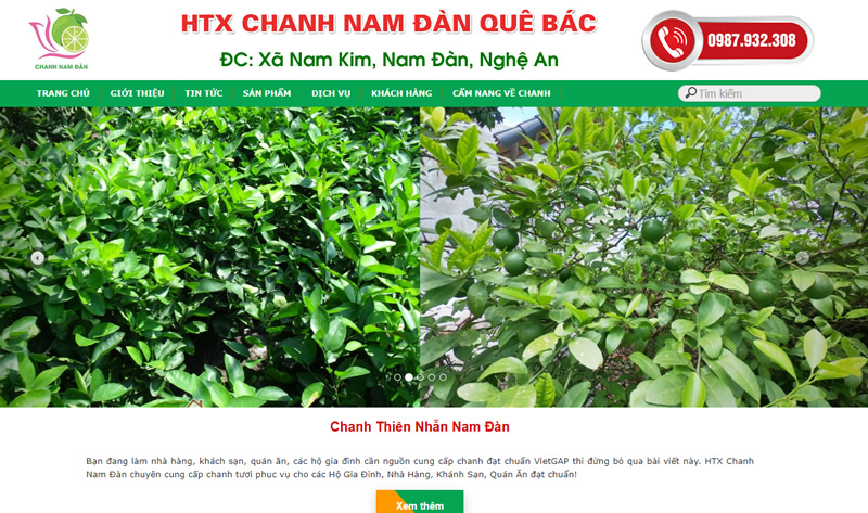 HTX Chanh Nam Đàn Quê Bác